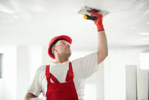 Professional Painting & Drywall Services in Horseshoe Bend, AR